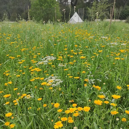 Derman Bahcesi Eco Campsite *